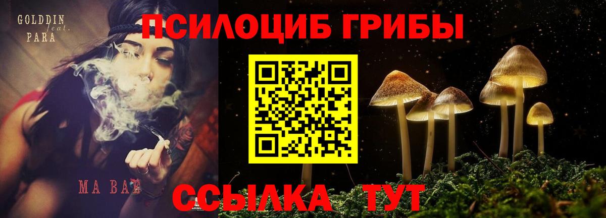 Галлюциногенные грибы Psilocybine cubensis  Вход с VPN  Краснотурьинск 